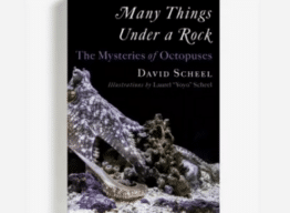 Faculty Highlight: Many Things Under a Rock | Outdoor Explorer Featured Image